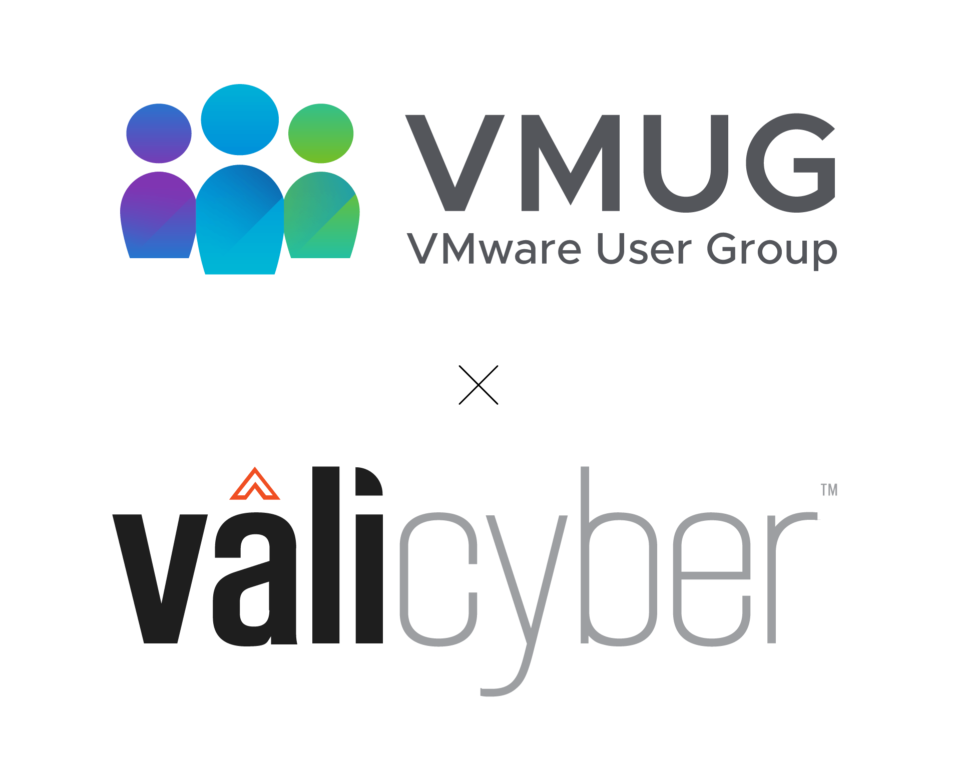 VMUG-ValiCyber-Lockup
