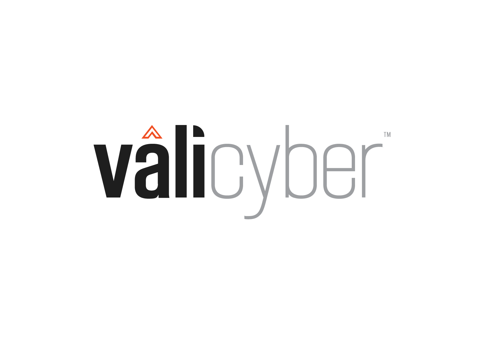 Partner-Logo-ValiCyber